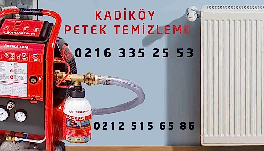 Kadıköy Petek Temizleme