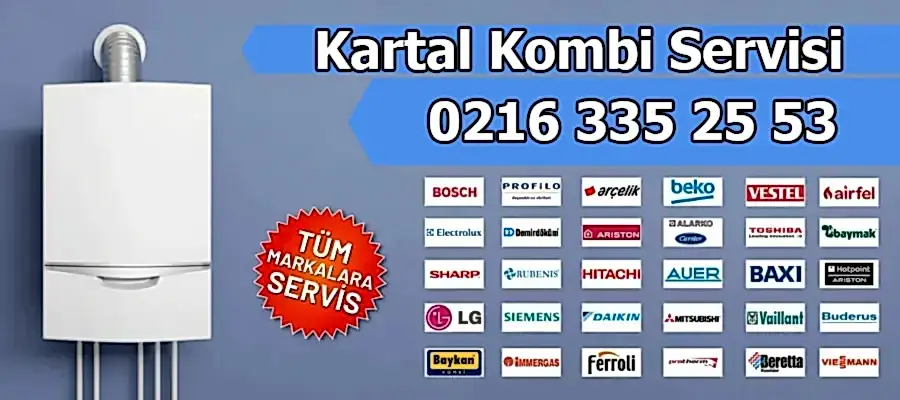 Kartal Kombi Servisi