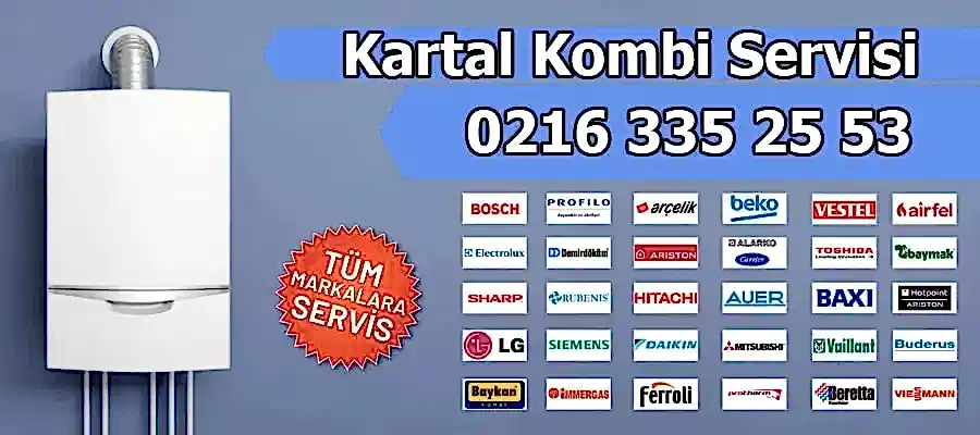 Kartal Petek Temizleme