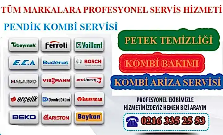 Pendik Kombi Servisi