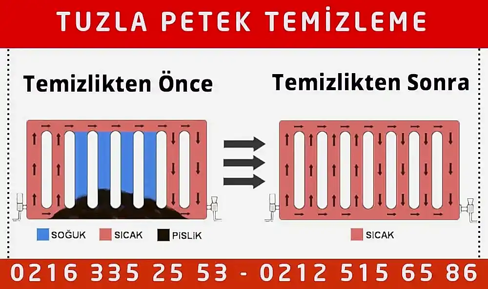 Tuzla Petek Temizleme