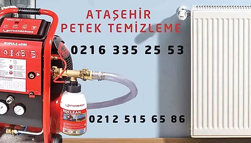 Ataşehir Petek Temizleme