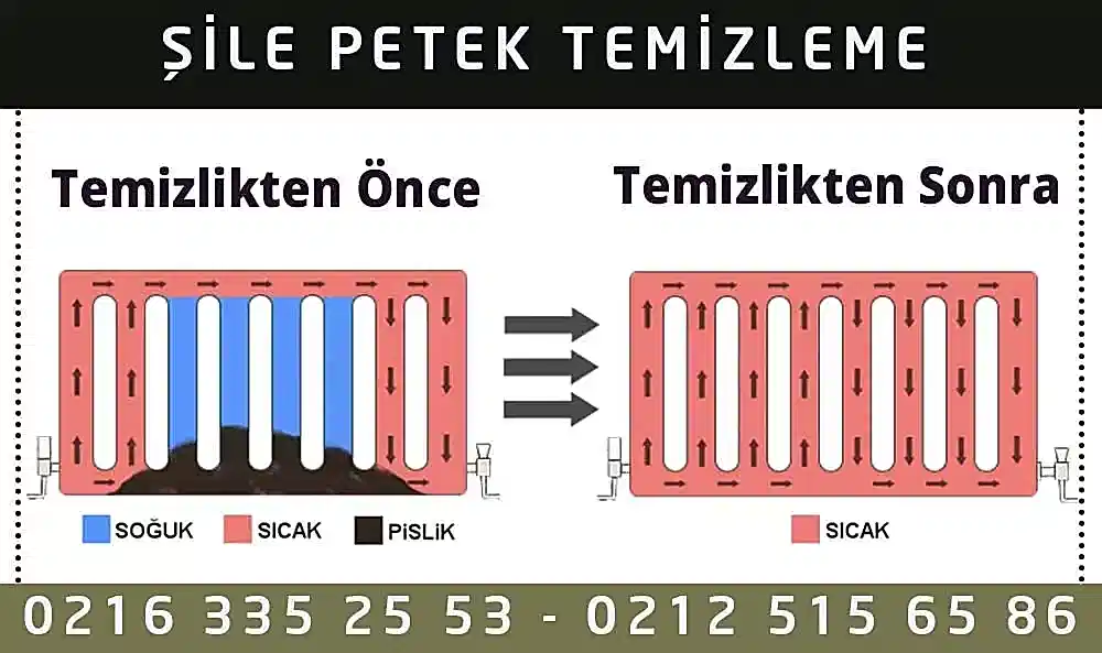 Şile Petek Temizleme